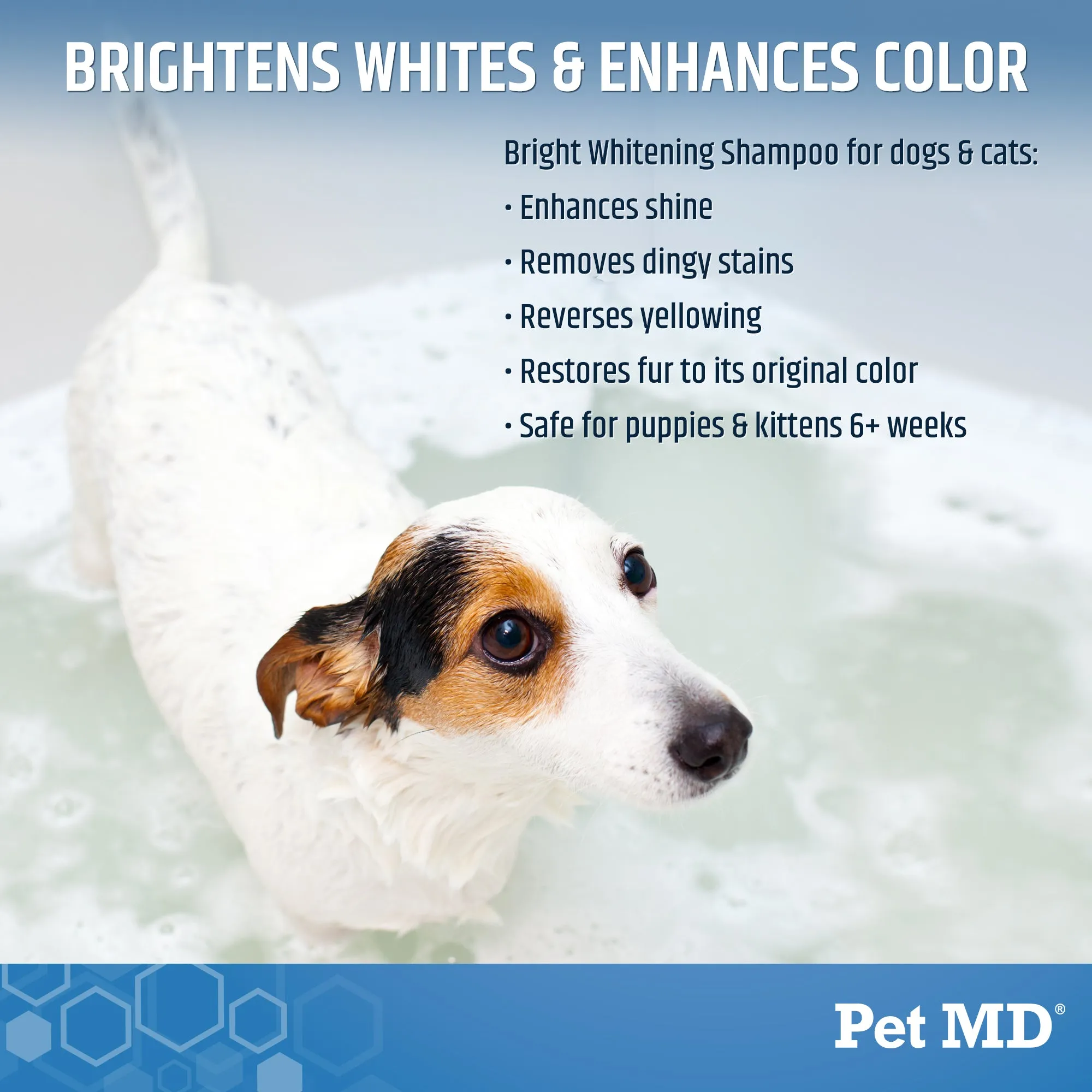 Bright Whitening Shampoo for Dogs & Cats - 12 oz