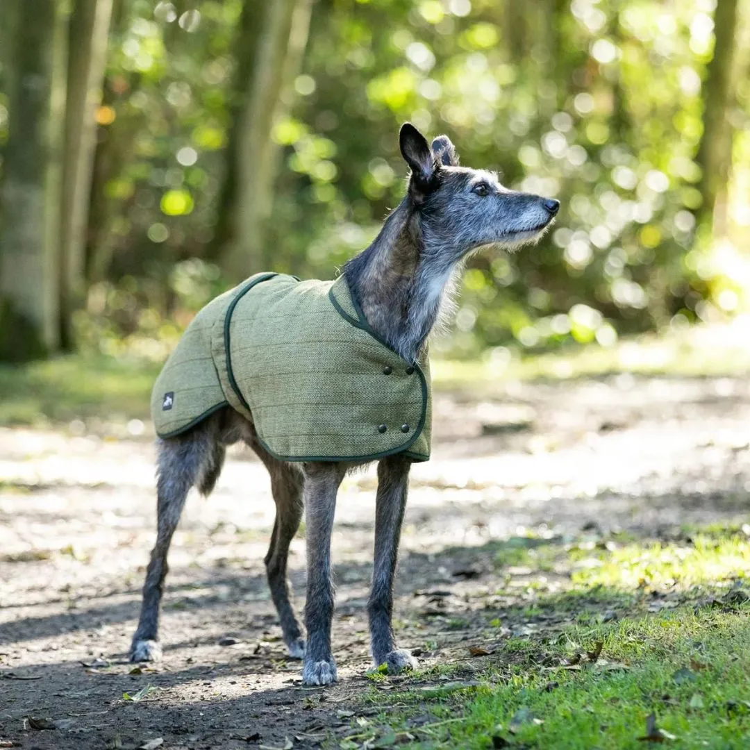 Country and Twee Green Tweed Greyhound Coat