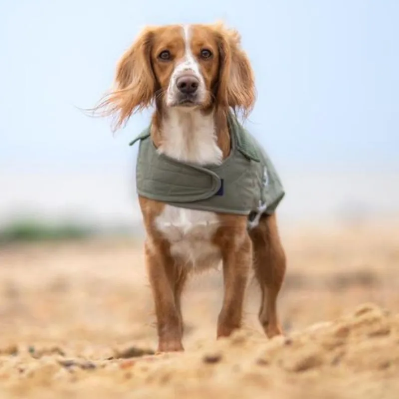 Olive Green Quilted Dog Jacket