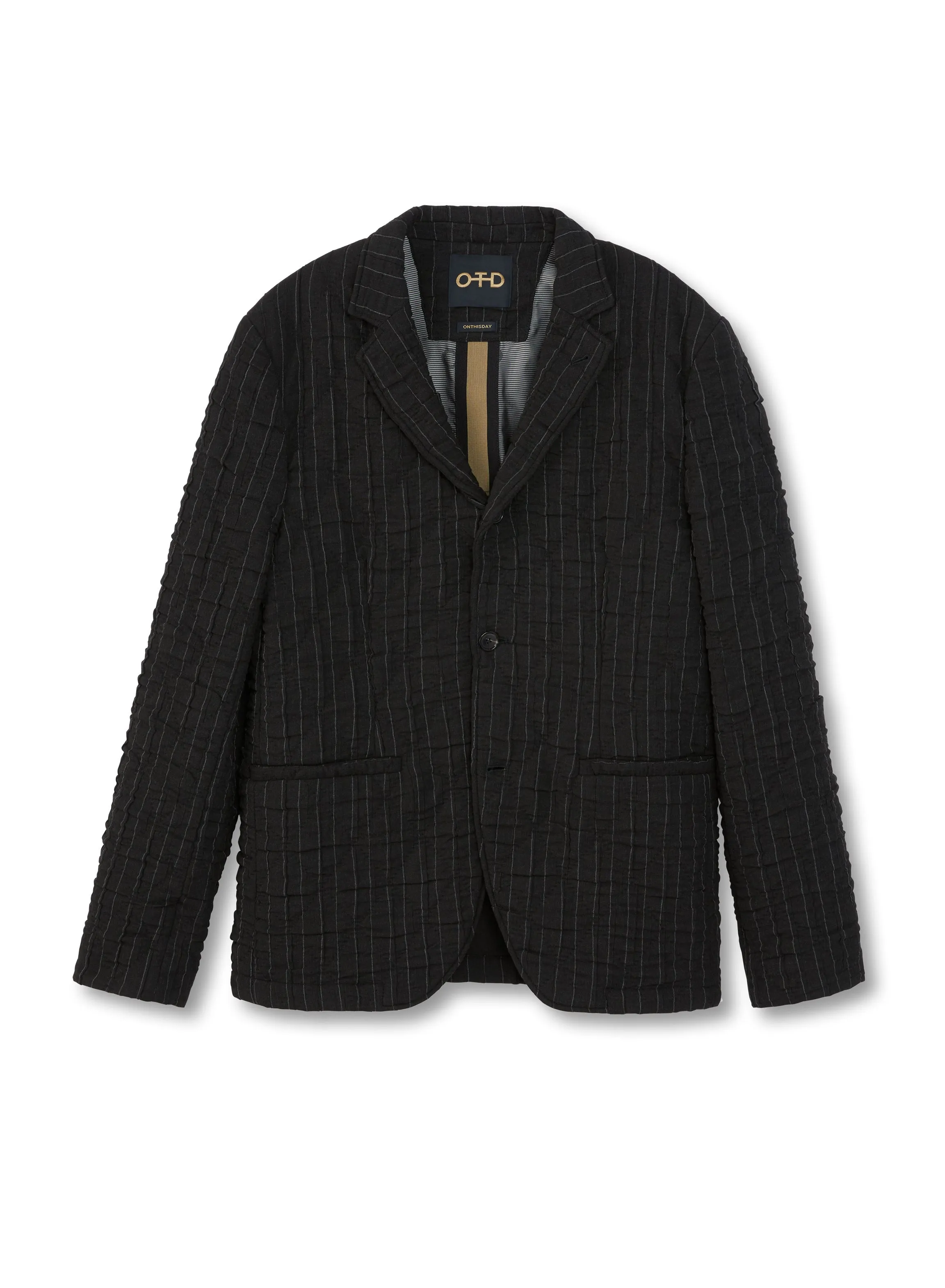 Pinstripe Crinkle Jacket